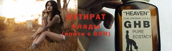 сатива Арсеньев