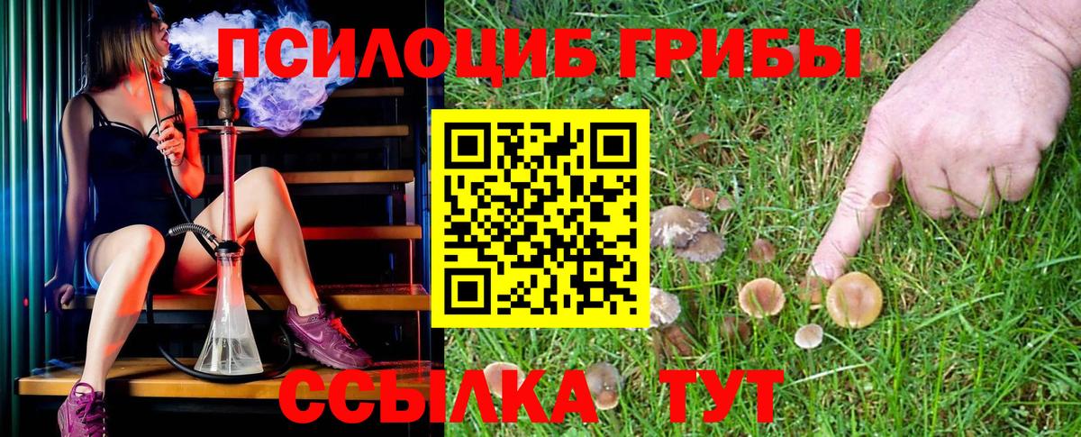 что такое наркотик  Вход с VPN  Долгопрудный  Галлюциногенные грибы GOLDEN TEACHER  Галлюциногенные грибы мухоморы 